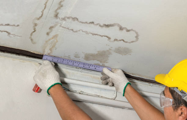 Reliable Mold Remediation contractor in Byron, MI by Water Damage Irwin